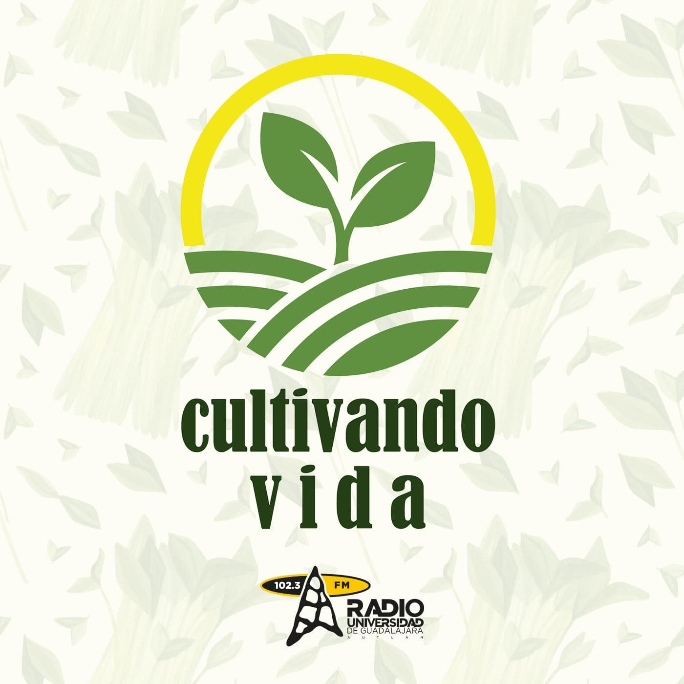 cultivandovida