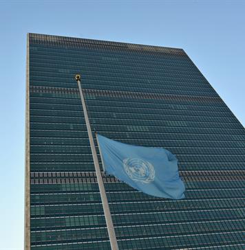 Expertas de la ONU sobre personas afrodescendientes visitarán México del 11 al 20 de mayo Expertas de la ONU sobre personas afrodescendientes visitarán México del 11 al 20 de mayo