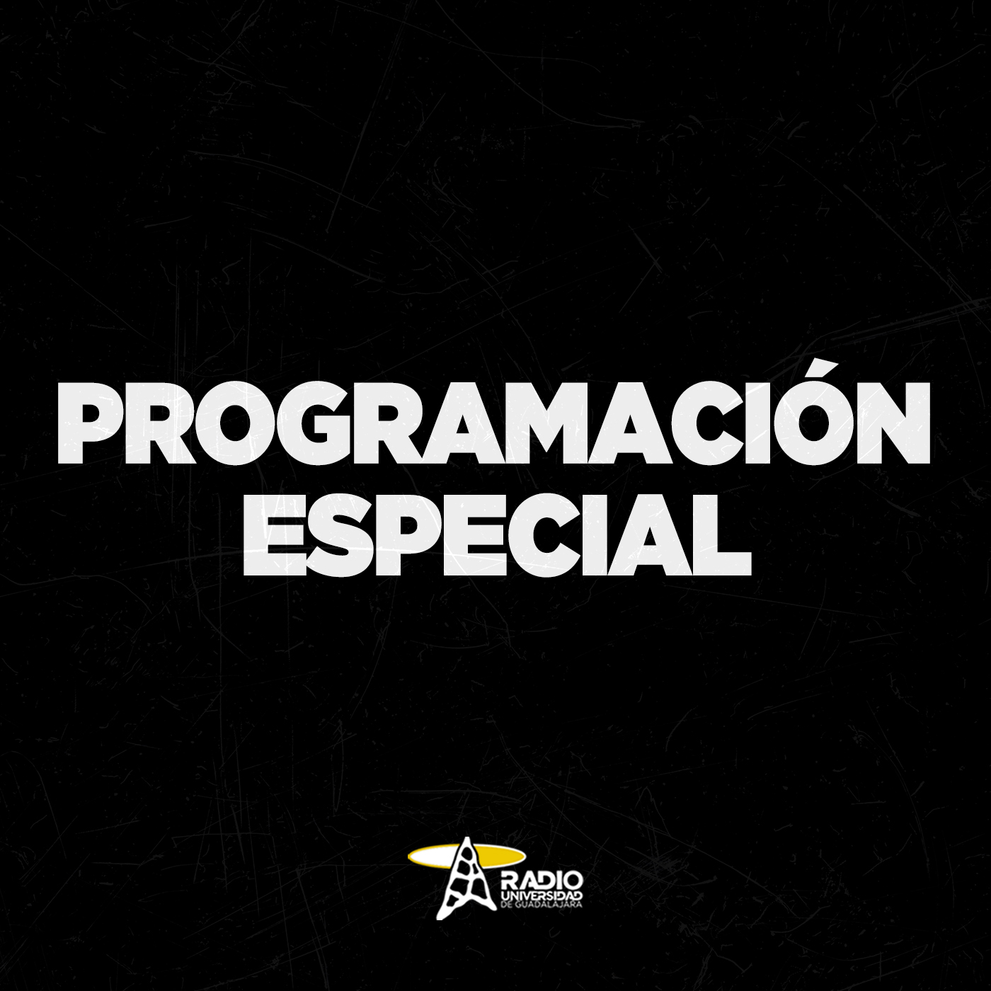 programacionespecial