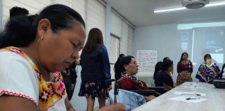 Mujeres de Pueblos Originarios defienden el uso de medicina tradicional