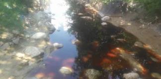 Presentan queja ante la CEDHJ por basurero de Picachos y Hasar&acute;s