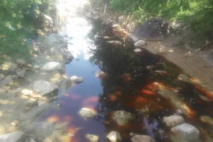 Presentan queja ante la CEDHJ por basurero de Picachos y Hasar´s Presentan queja ante la CEDHJ por basurero de Picachos y Hasar´s