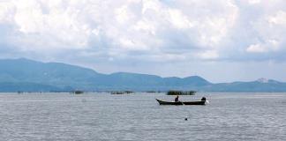 Ocotlán celebrará primera edición del "Día del Lago de Chapala" Ocotlán celebrará primera edición del "Día del Lago de Chapala"