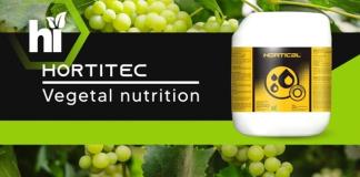 Hortical: La Solución Integral para Rehabilitar Suelos Degradados en México