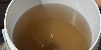 Regidor pide que casas sin agua limpia no paguen al SIAPA