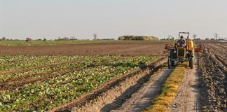 Tras el shock energ&eacute;tico, la ONU advierte sobre una posible crisis alimentaria mundial