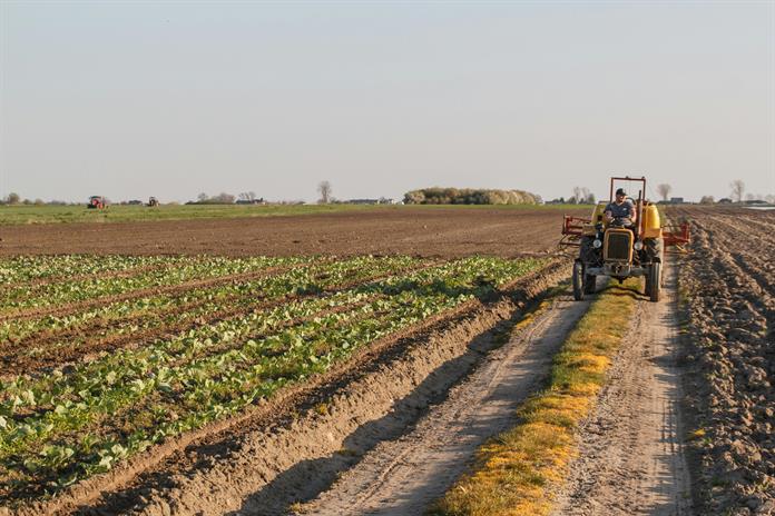 Tras el shock energético, la ONU advierte sobre una posible crisis alimentaria mundial Tras el shock energético, la ONU advierte sobre una posible crisis alimentaria mundial