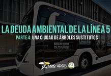 La deuda ambiental de la L5 | Parte 4: Una ciudad de árboles sustitutos
