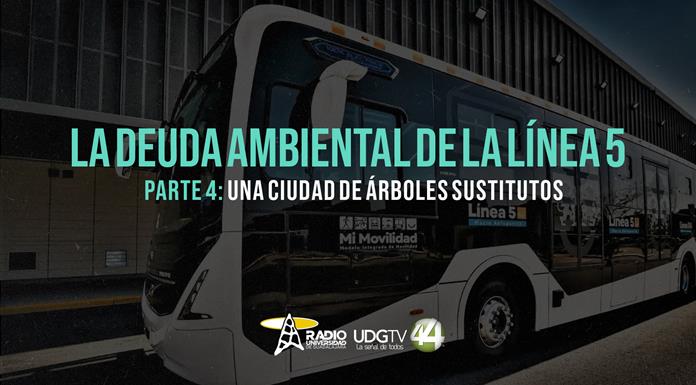 La deuda ambiental de la L5 | Parte 4: Una ciudad de árboles sustitutos
