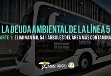 La deuda ambiental de la L5 | Parte 1: Eliminan mil 541 árboles del área más contaminada