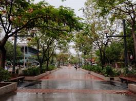Paseo Chapultepec estrena nueva imagen tras rehabilitación
