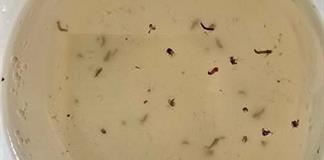 Canaco avala deuda para agua, pero exige plan para reducir fugas y mejorar cobro Canaco avala deuda para agua, pero exige plan para reducir fugas y mejorar cobro