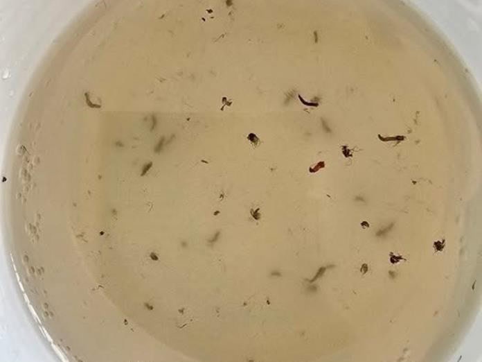 Canaco avala deuda para agua, pero exige plan para reducir fugas y mejorar cobro Canaco avala deuda para agua, pero exige plan para reducir fugas y mejorar cobro