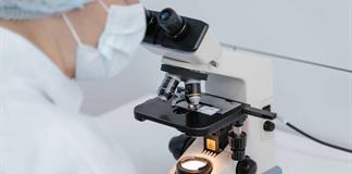 Avanzan en Jalisco investigaciones de medicina regenerativa y terapias avanzadas contra el cáncer Avanzan en Jalisco investigaciones de medicina regenerativa y terapias avanzadas contra el cáncer