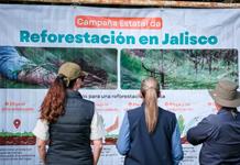 Arranca reforestación en la Meseta de Tapalpa con 2 mil árboles nativos