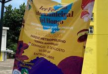Festival Intermunicipal del Hongo busca acercar la ciencia y la conservación a la ciudadanía Festival Intermunicipal del Hongo busca acercar la ciencia y la conservación a la ciudadanía