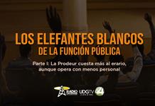 Los elefantes blancos de la función pública | Parte I: La Prodeur cuesta más al erario, aunque opera con menos personal