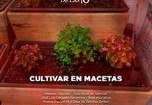 Cultivar en macetas- El Expresso de las 10- Vi. 28 de Agosto 2026