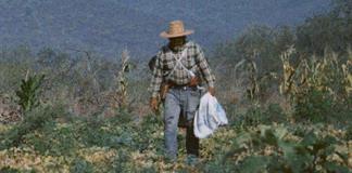 Imanol Mart&iacute;nez gana primer lugar en Festival Biotropo con documental sobre agroecolog&iacute;a y salud