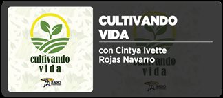 Cultivando Vida