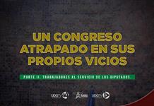 Un congreso atrapado en sus propios vicios | Parte II: Trabajadores al servicio de los diputados