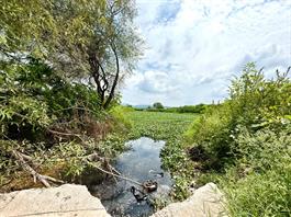 Denuncian falta de soluciones de fondo a la contaminación del río Santiago; Un Salto de Vida cuestiona respuesta gubernamental Denuncian falta de soluciones de fondo a la contaminación del río Santiago; Un Salto de Vida cuestiona respuesta gubernamental