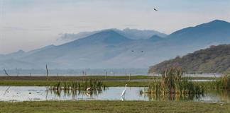 Habitantes de Lagunas de Jalisco rechazan termoeléctrica en Acatlán de Juárez Habitantes de Lagunas de Jalisco rechazan termoeléctrica en Acatlán de Juárez