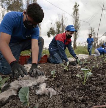 El cabello reciclado se convierte en una herramienta ambiental en México El cabello reciclado se convierte en una herramienta ambiental en México