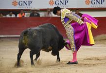 Senado aprueba ley de bienestar animal sin prohibir las corridas de toros Senado aprueba ley de bienestar animal sin prohibir las corridas de toros
