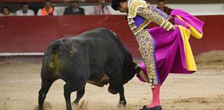 Senado aprueba ley de bienestar animal sin prohibir las corridas de toros Senado aprueba ley de bienestar animal sin prohibir las corridas de toros
