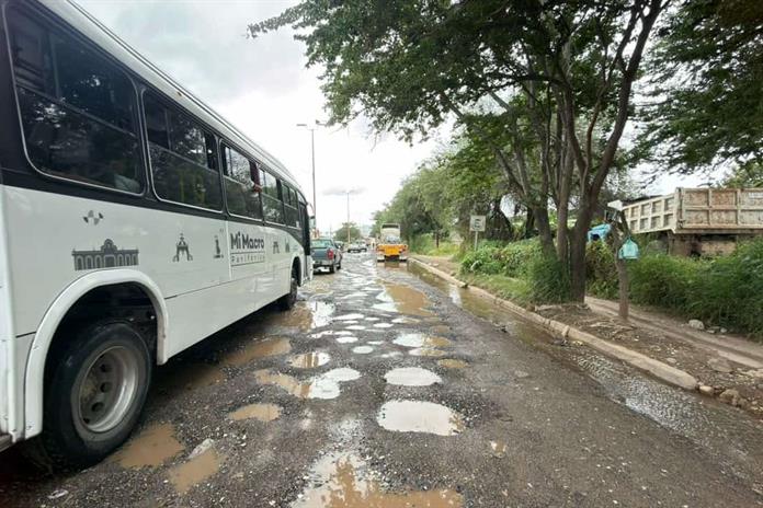 Está destrozada por baches la calle de ingreso a San Martín de las Flores Está destrozada por baches la calle de ingreso a San Martín de las Flores