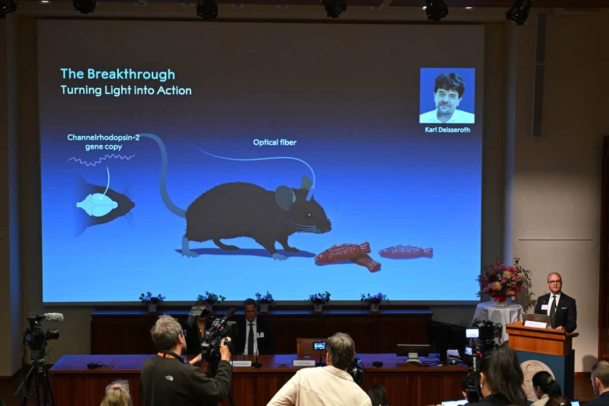 Nobel de Medicina para los científicos que lograron “encender” y “apagar” neuronas con luz