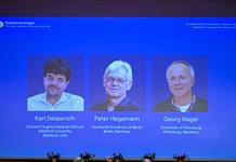 Nobel de Medicina para los científicos que lograron “encender” y “apagar” neuronas con luz Nobel de Medicina para los científicos que lograron “encender” y “apagar” neuronas con luz