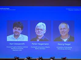 Nobel de Medicina para los científicos que lograron "encender" y "apagar" neuronas con luz Nobel de Medicina para los científicos que lograron "encender" y "apagar" neuronas con luz