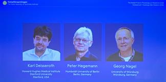 Nobel de Medicina para los cient&iacute;ficos que lograron "encender" y "apagar" neuronas con luz