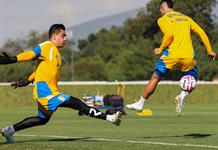 El Tigres UANL recibe al líder Toluca en esperado encuentro del Apertura mexicano El Tigres UANL recibe al líder Toluca en esperado encuentro del Apertura mexicano