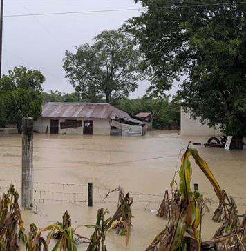 Temporal deja diez muertos, ríos desbordados y evacuaciones en el este de México Temporal deja diez muertos, ríos desbordados y evacuaciones en el este de México