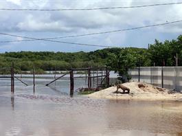 Alerta en Jalisco y Colima por el paso del huracán Simón Alerta en Jalisco y Colima por el paso del huracán Simón
