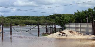 Alerta en Jalisco y Colima por el paso del huracán Simón Alerta en Jalisco y Colima por el paso del huracán Simón