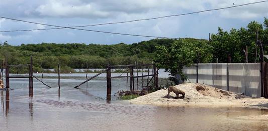 Alerta en Jalisco y Colima por el paso del huracán Simón