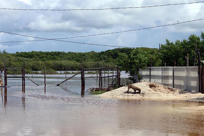 Alerta en Jalisco y Colima por el paso del huracán Simón Alerta en Jalisco y Colima por el paso del huracán Simón