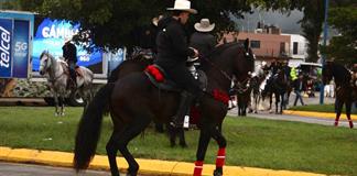 Salud Animal no ha recibido denuncias por ca&iacute;da de caballo durante cabalgata
