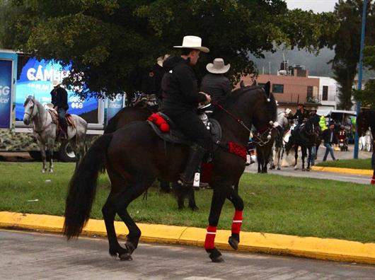 Salud Animal no ha recibido denuncias por ca&iacute;da de caballo durante cabalgata