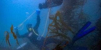 M&eacute;xico protege bosque submarino amenazado por El Ni&ntilde;o