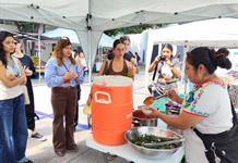Carrera de Nutrición de la UdeG tendrá clase de cocina tradicional con mujeres de pueblos originarios Carrera de Nutrición de la UdeG tendrá clase de cocina tradicional con mujeres de pueblos originarios