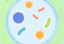 La UdeG acerca la microbiología a la ciudadanía con una feria de ciencia