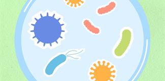 La UdeG acerca la microbiología a la ciudadanía con una feria de ciencia La UdeG acerca la microbiología a la ciudadanía con una feria de ciencia