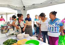 Mujeres de pueblos originarios que rescatan recetas ancestrales prueban estufas solares Mujeres de pueblos originarios que rescatan recetas ancestrales prueban estufas solares