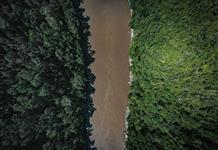 La deforestación en la Amazonía brasileña registró su nivel más bajo en casi 40 años La deforestación en la Amazonía brasileña registró su nivel más bajo en casi 40 años
