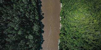 La deforestaci&oacute;n en la Amazon&iacute;a brasile&ntilde;a registr&oacute; su nivel m&aacute;s bajo en casi 40 a&ntilde;os